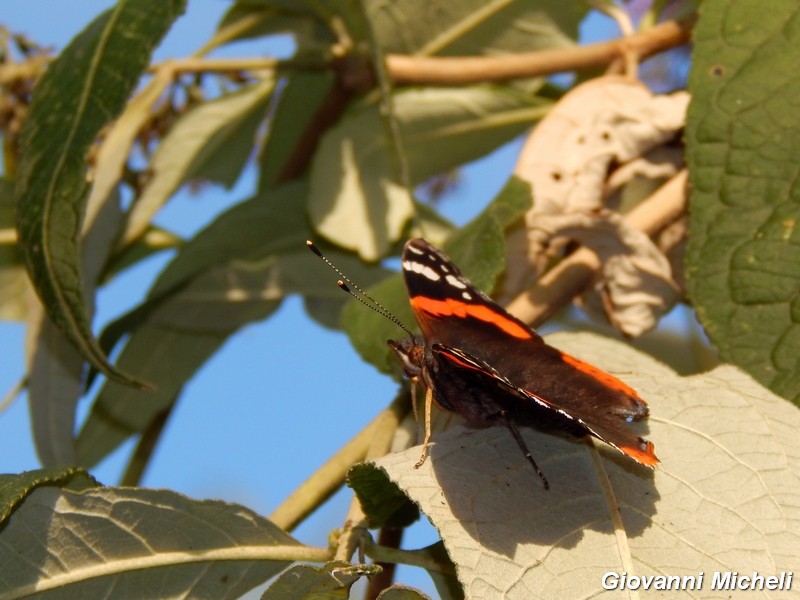 Parco del ticino :incontri del 25/9/14